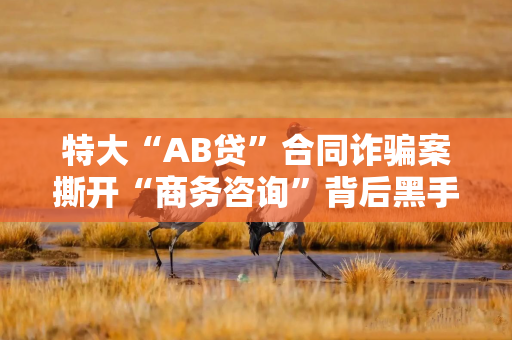 特大“AB贷”合同诈骗案撕开“商务咨询”背后黑手