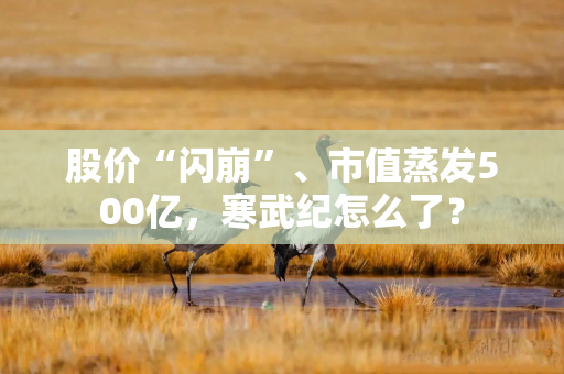 股价“闪崩”、市值蒸发500亿，寒武纪怎么了？