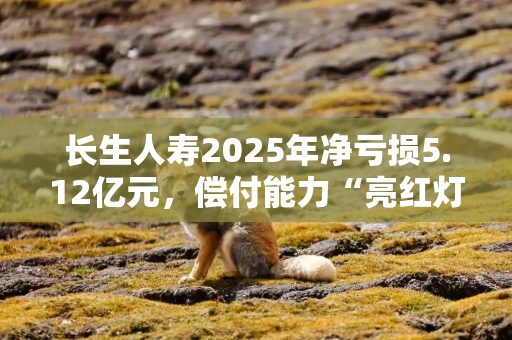 长生人寿2025年净亏损5.12亿元，偿付能力“亮红灯”，资本补充工作仍在推进中