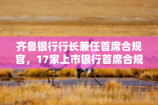 齐鲁银行行长兼任首席合规官，17家上市银行首席合规官到位，仍有25家空缺