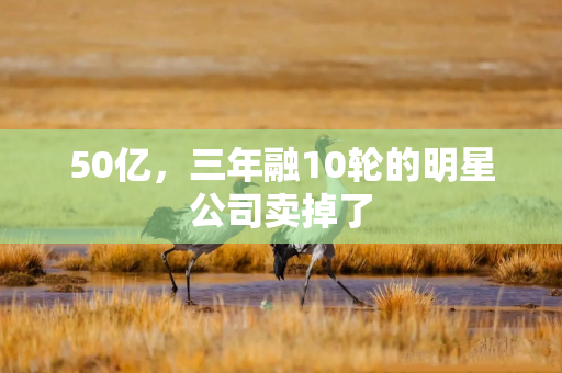50亿，三年融10轮的明星公司卖掉了