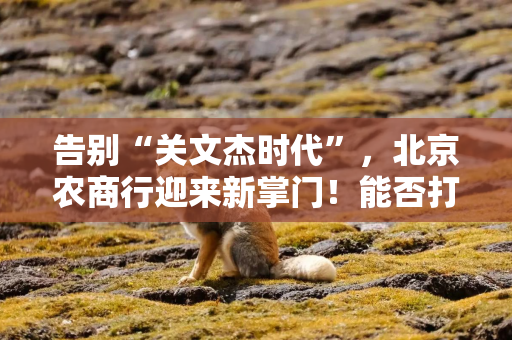告别“关文杰时代”，北京农商行迎来新掌门！能否打破7年上市辅导期困局？