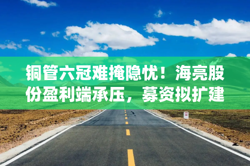 铜管六冠难掩隐忧！海亮股份盈利端承压，募资拟扩建摩洛哥及印尼生产基地|港E声