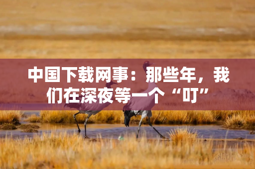 中国下载网事：那些年，我们在深夜等一个“叮”