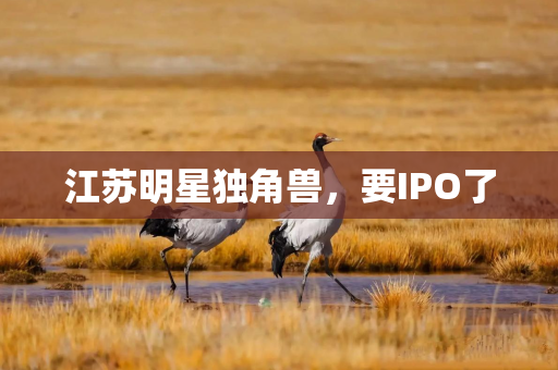 江苏明星独角兽，要IPO了