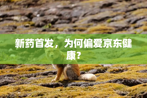 新药首发，为何偏爱京东健康？