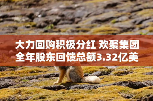 大力回购积极分红 欢聚集团全年股东回馈总额3.32亿美元