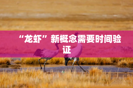 “龙虾”新概念需要时间验证