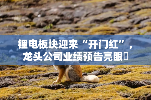 锂电板块迎来“开门红”，龙头公司业绩预告亮眼‌