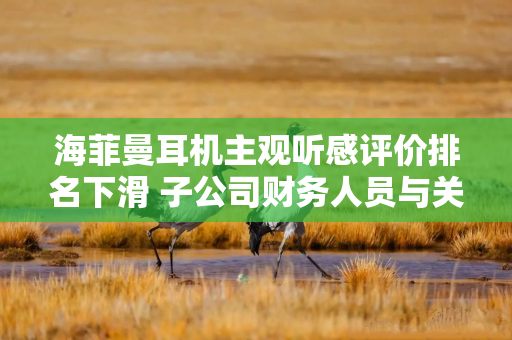 海菲曼耳机主观听感评价排名下滑 子公司财务人员与关联方存交织