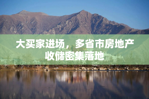 大买家进场，多省市房地产收储密集落地