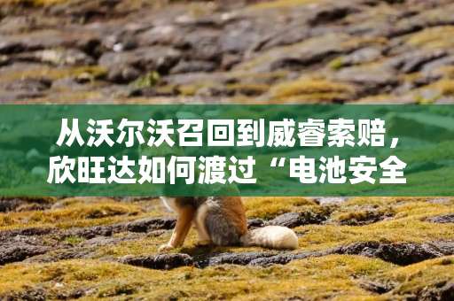 从沃尔沃召回到威睿索赔，欣旺达如何渡过“电池安全”危机？