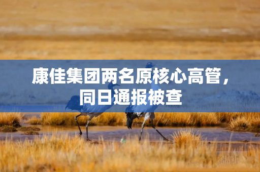 康佳集团两名原核心高管，同日通报被查