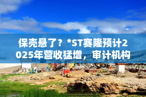 保壳悬了？*ST赛隆预计2025年营收猛增，审计机构却上任不足半月“闪辞”