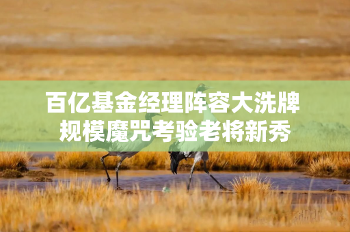 百亿基金经理阵容大洗牌 规模魔咒考验老将新秀