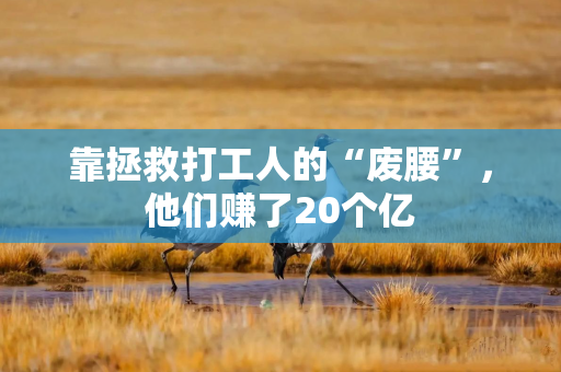 靠拯救打工人的“废腰”，他们赚了20个亿