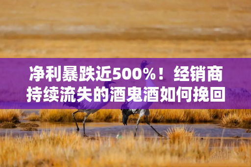 净利暴跌近500%！经销商持续流失的酒鬼酒如何挽回消费者？
