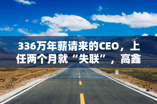 336万年薪请来的CEO，上任两个月就“失联”，高鑫零售的转型阵痛期
