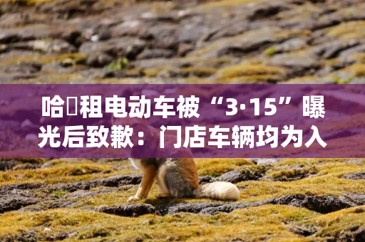 哈啰租电动车被“3·15”曝光后致歉：门店车辆均为入驻商家自采