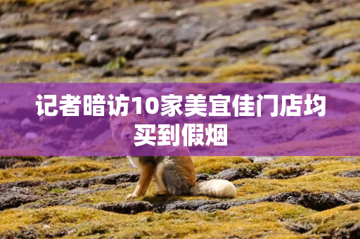 记者暗访10家美宜佳门店均买到假烟