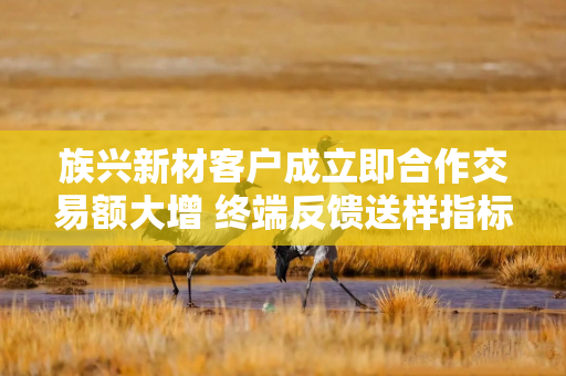 族兴新材客户成立即合作交易额大增 终端反馈送样指标未完全达标