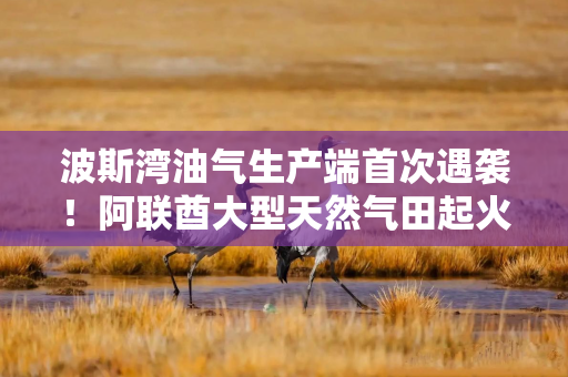 波斯湾油气生产端首次遇袭！阿联酋大型天然气田起火 暂停作业