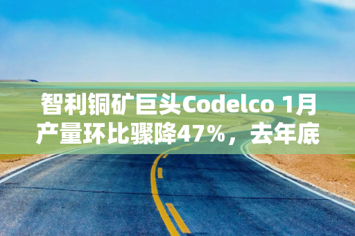 智利铜矿巨头Codelco 1月产量环比骤降47%，去年底增产数据疑遭“注水”