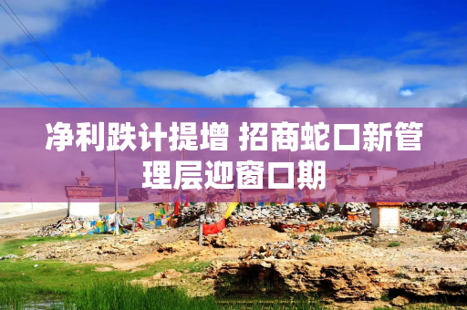 净利跌计提增 招商蛇口新管理层迎窗口期