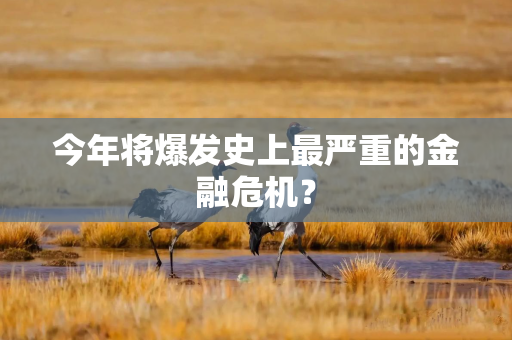 今年将爆发史上最严重的金融危机？