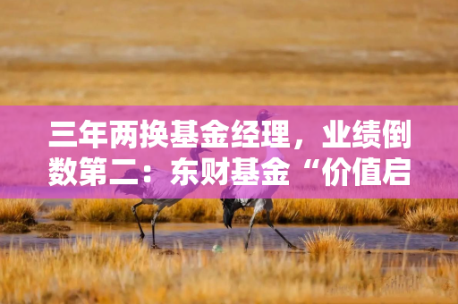 三年两换基金经理，业绩倒数第二：东财基金“价值启航”为何迷失
