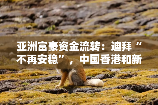 亚洲富豪资金流转：迪拜“不再安稳”，中国香港和新加坡受益？