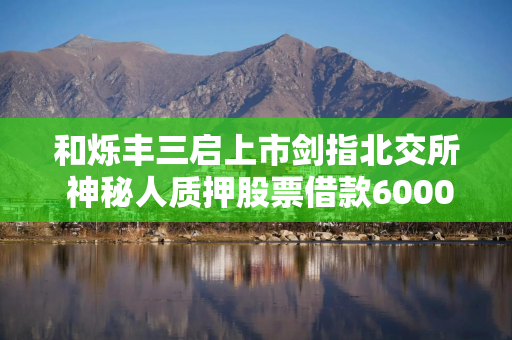 和烁丰三启上市剑指北交所 神秘人质押股票借款6000万突击押宝