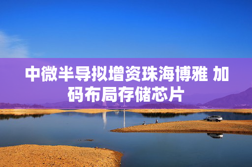 中微半导拟增资珠海博雅 加码布局存储芯片