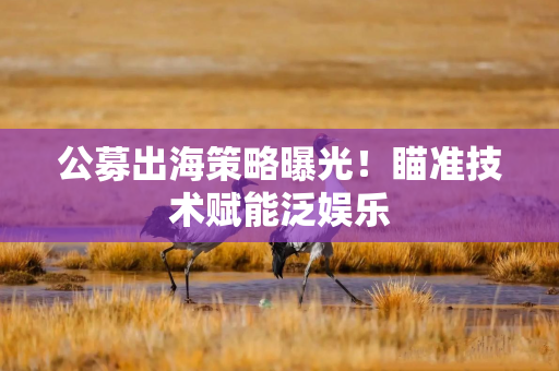 公募出海策略曝光！瞄准技术赋能泛娱乐