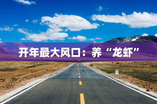 开年最大风口：养“龙虾”