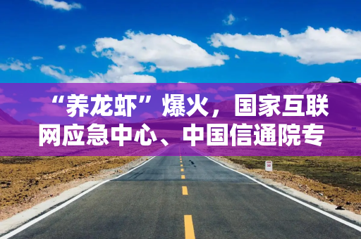 “养龙虾”爆火，国家互联网应急中心、中国信通院专家提示风险