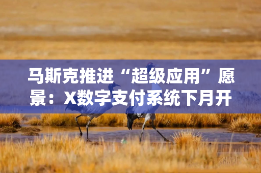 马斯克推进“超级应用”愿景：X数字支付系统下月开启早期测试