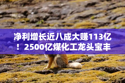 净利增长近八成大赚113亿！2500亿煤化工龙头宝丰能源赚麻了，中东资金加仓