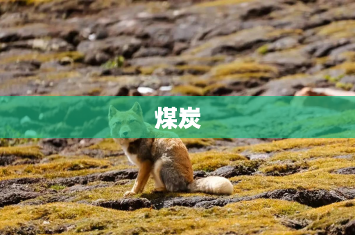 煤炭