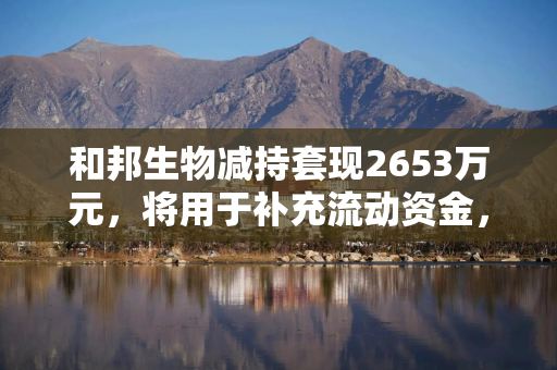 和邦生物减持套现2653万元，将用于补充流动资金，上周股价“三连涨”