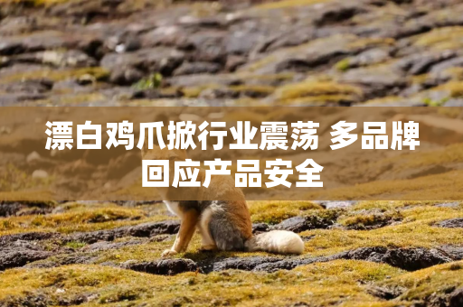 漂白鸡爪掀行业震荡 多品牌回应产品安全
