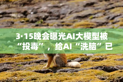 3·15晚会曝光AI大模型被“投毒”，给AI“洗脑”已成产业链
