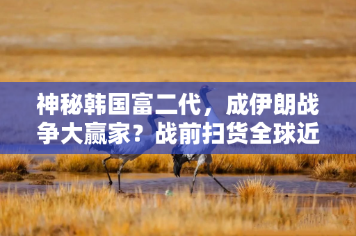 神秘韩国富二代，成伊朗战争大赢家？战前扫货全球近40%超大油轮
