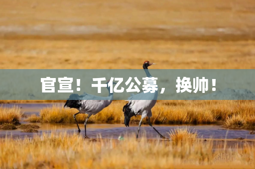 官宣！千亿公募，换帅！