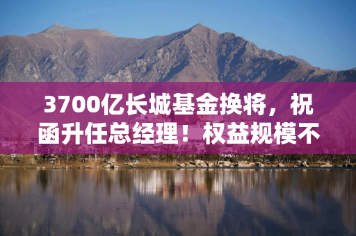 3700亿长城基金换将，祝函升任总经理！权益规模不足10%，如何破解？