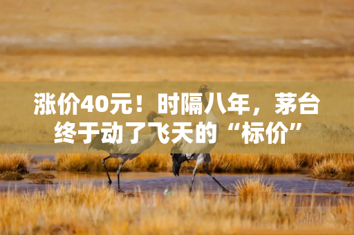 涨价40元！时隔八年，茅台终于动了飞天的“标价”