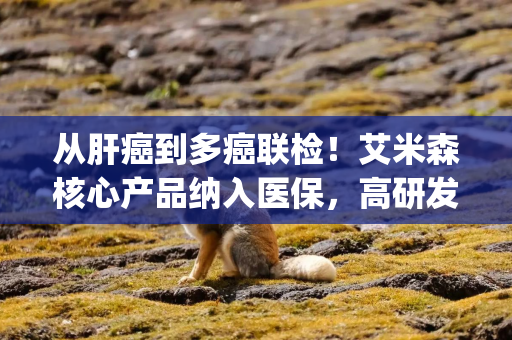 从肝癌到多癌联检！艾米森核心产品纳入医保，高研发投入暂未盈利|港E声