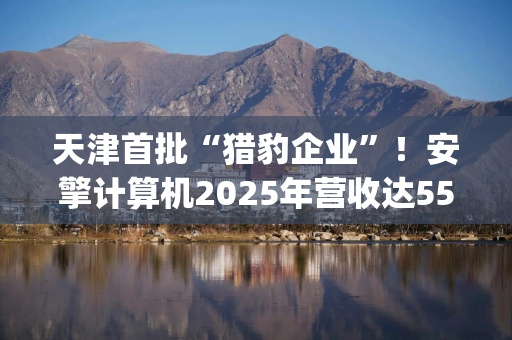 天津首批“猎豹企业”！安擎计算机2025年营收达55亿元，AI服务器量价齐增助推业绩|港E声