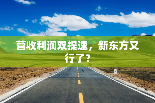营收利润双提速，新东方又行了？
