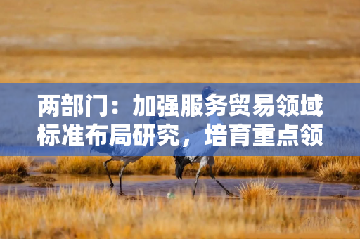 两部门：加强服务贸易领域标准布局研究，培育重点领域中国标准品牌